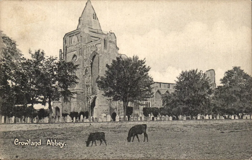 Crowland Abbey — gotische Ruinen mit Kühen — Verlag W. H. Penney, Peterborough - Vorderseite