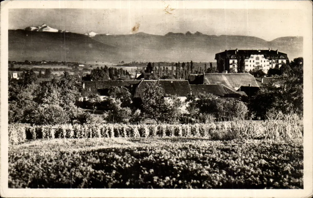 Divonne-les-Bains — Vista panoramica — Edizione L. Michaud, n°394 - Recto