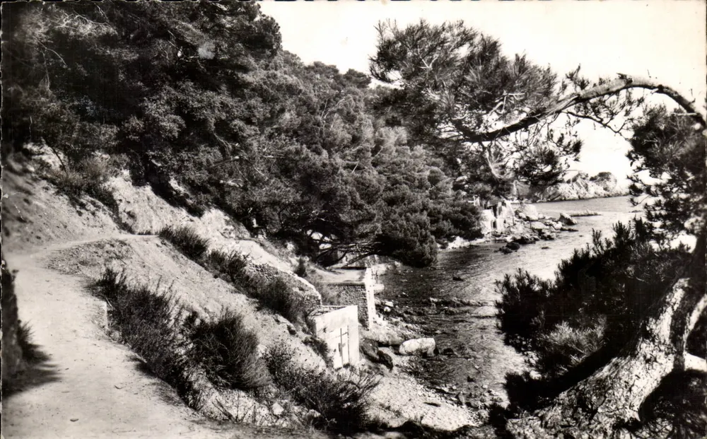 Toulon — Sentier des Douaniers — Les Pins penchés — Éditions Photo du Brande, Paris - Vorderseite