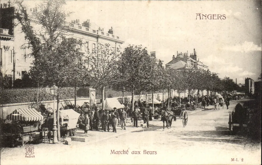 Angers — Mercato dei fiori — Mantes - Recto