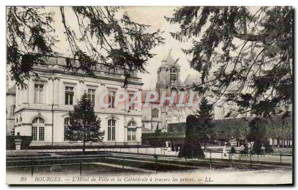 Bourges — Das Rathaus und die Kathedrale durch die Bäume — LL. - Vorderseite