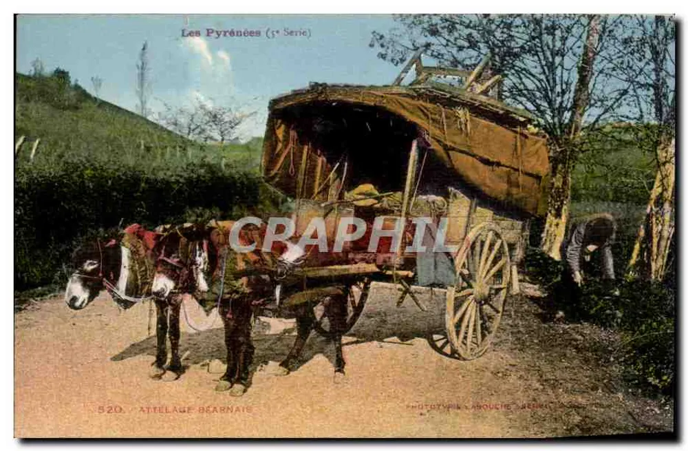 Ataque béarnés — Los Pirineos (1ª serie) — Fototipia Laboucine Sarre - Anverso