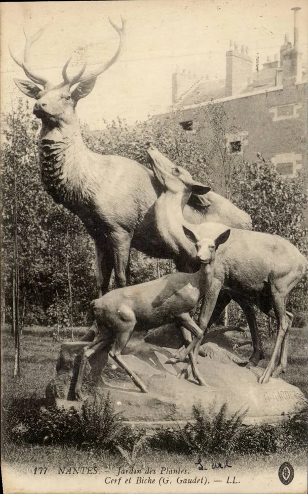 Nantes — Jardin des Plantes. Hirsch und Hirschkuh (G. Gaudet). — LL. - Vorderseite