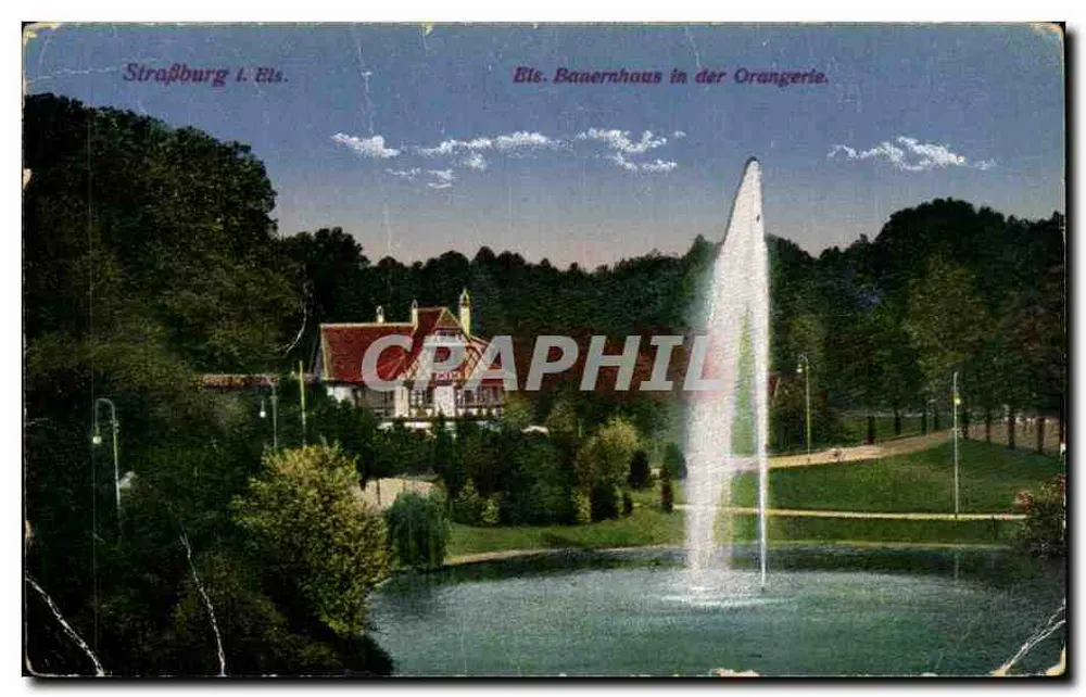 Strasbourg l. Els. — Bananenhaus in der Orangerie — Verlag J. Rothe - Vorderseite