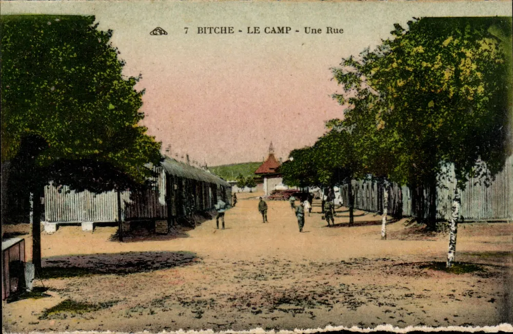 Bitche - O Campo - Uma Rua — cartão postal n°7 - Frente