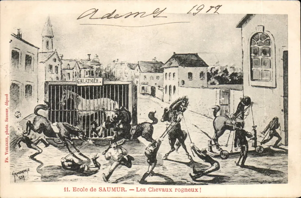 Schule von SAUMUR — Die wilden Pferde! — Fr. Voelcker, Saumur, abgegeben - Vorderseite