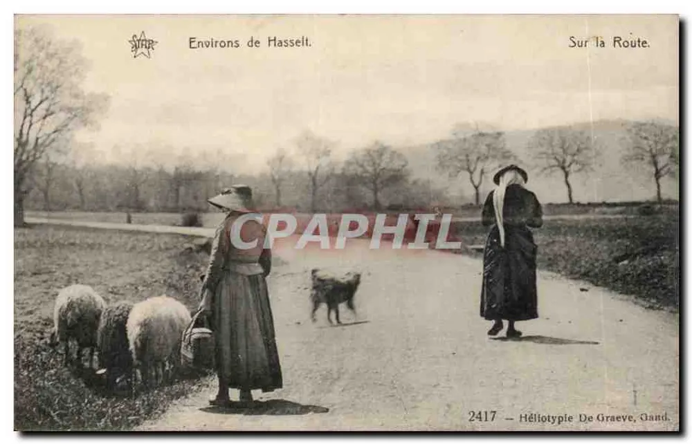 Um Hasselt — Auf der Straße — Héliotypie De Graeve, Gent, Nr. 2417 - Vorderseite
