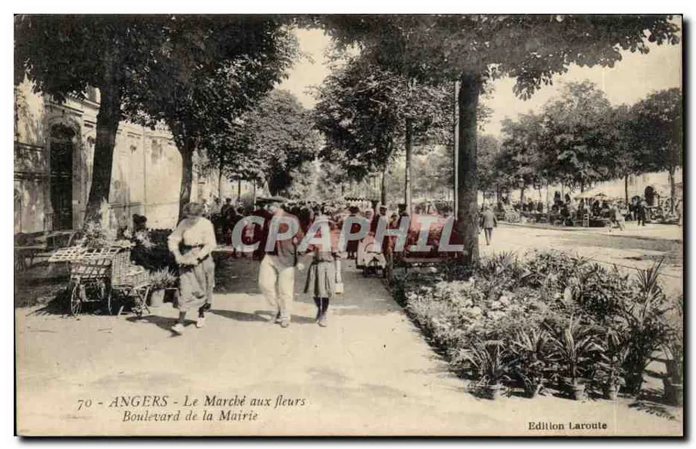 Angers - Der Blumenmarkt - Boulevard de la Mairie - Edition Larouët - Vorderseite