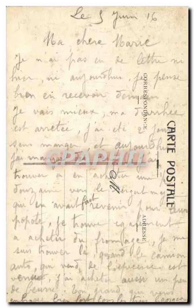 LYON — As Garças de Lyon — E. C. L. - Verso