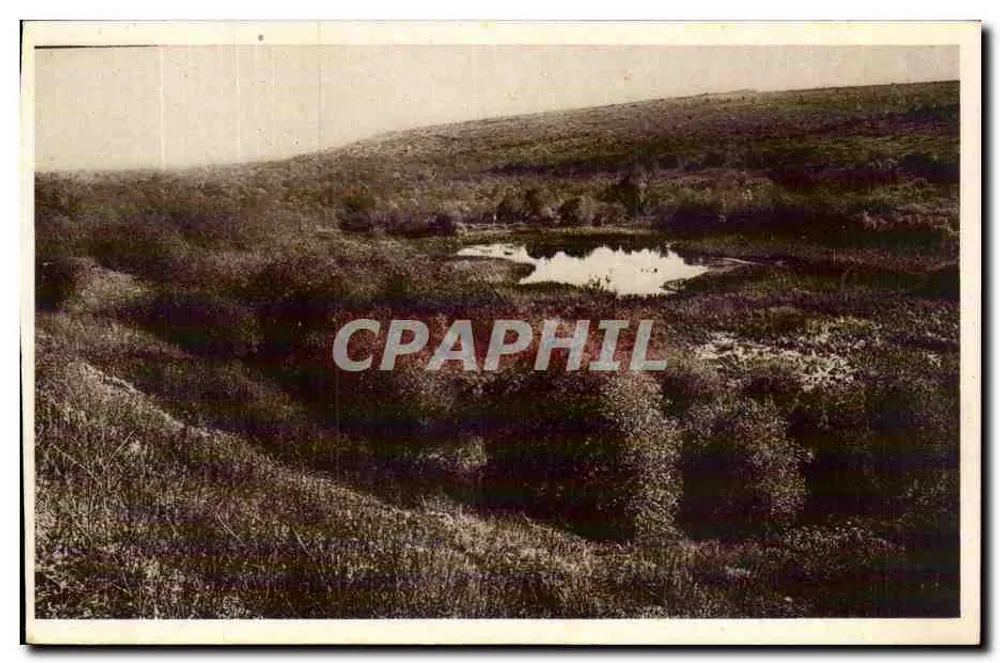 O Lago de Vaux — Verdun — Éditions Verdun - Frente