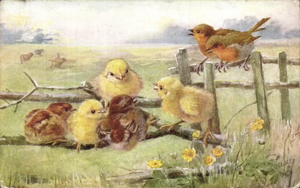 Pintos e Aves — Cena com cerca e campo — por Geletty, Raphael Tuck & Sons, Cartão Postal Número 9520 - Frente
