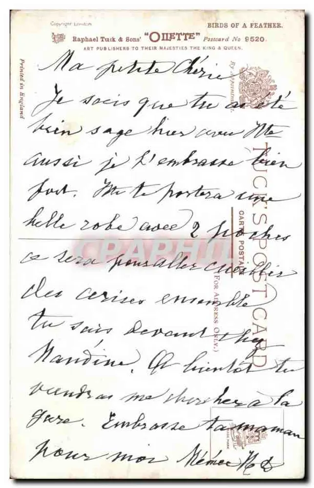 Pintos e Aves — Cena com cerca e campo — por Geletty, Raphael Tuck & Sons, Cartão Postal Número 9520 - Verso