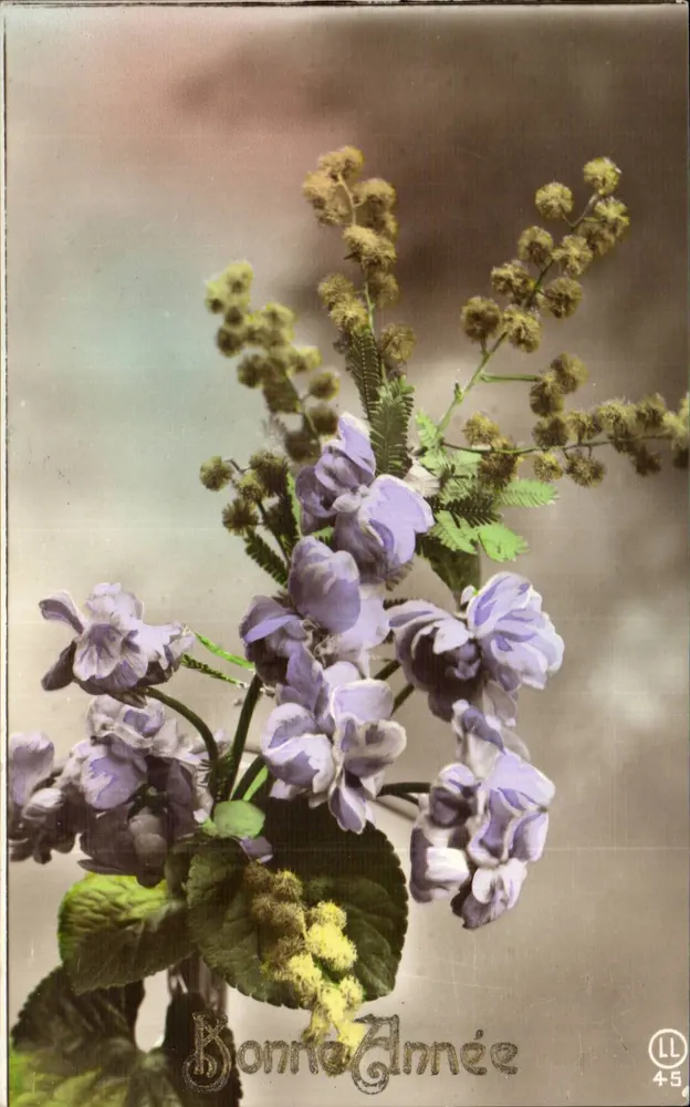 Büschel von Violets und Mimosen — Frohe Neujahr — LL 45 - Vorderseite