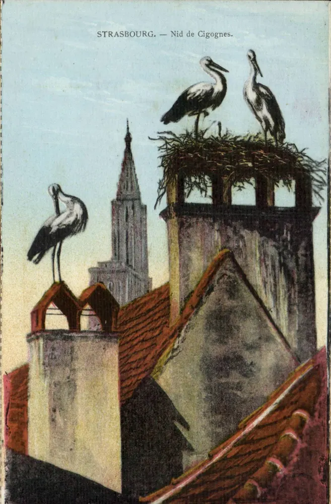 Strasbourg — Ninho de Corujas — Félix Loib, editor Strasbourg - Frente