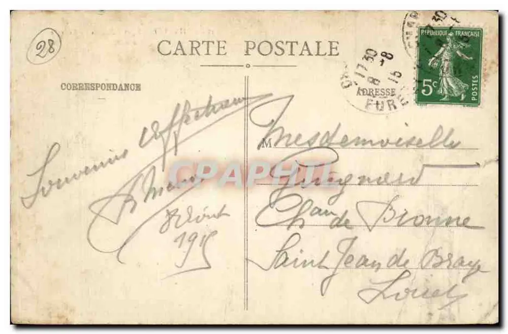 Chartres (E.-et-L.) - A Catedral (Lado Sul) — Ch. Foucault, edição Dreu, n° 320 - Verso