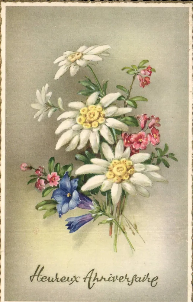 Blumenstrauß — Geburtstag — In Belgien gedruckt - Vorderseite