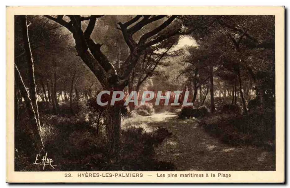 Hyères-les-Palmiers — Die maritimen Kiefern an der Strände — E. Hue, n°23 - Vorderseite