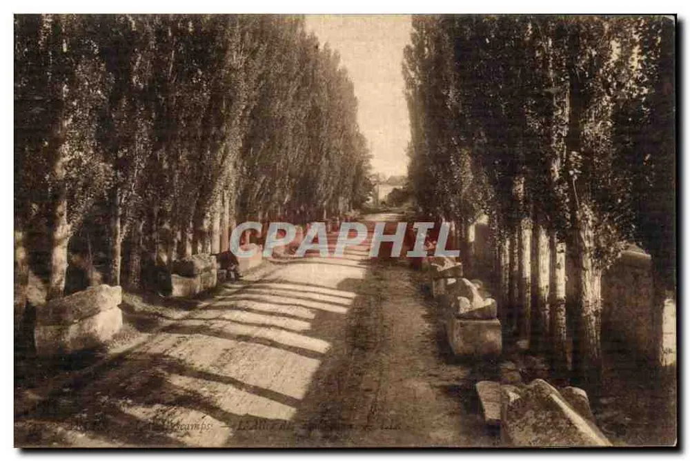 Arles — Les Alyscamps — L'Allée des Tombeaux - Frente