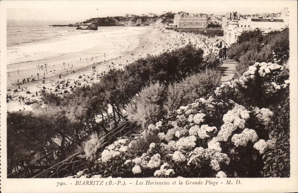 Biarritz (B.-P.) - Die Hydrangeen und die Grande Plage - M. D. - Vorderseite