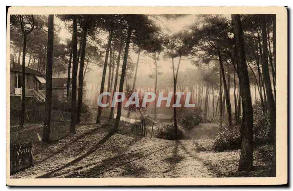 Côte d'Argent — Ansicht eines von Kiefern gesäumten Weges in der Nebel — Les Éditions d'Art Yvon, Paris - Vorderseite