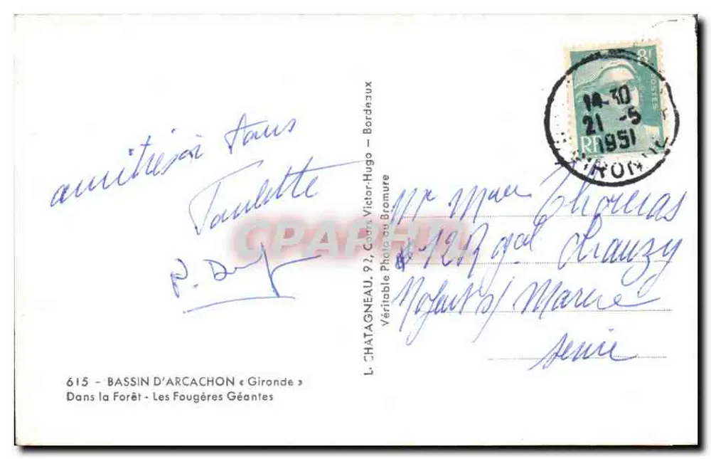 Bassin d'Arcachon — Die Riesenfarne — L. Chataigneau, 615, Gironde - Rückseite