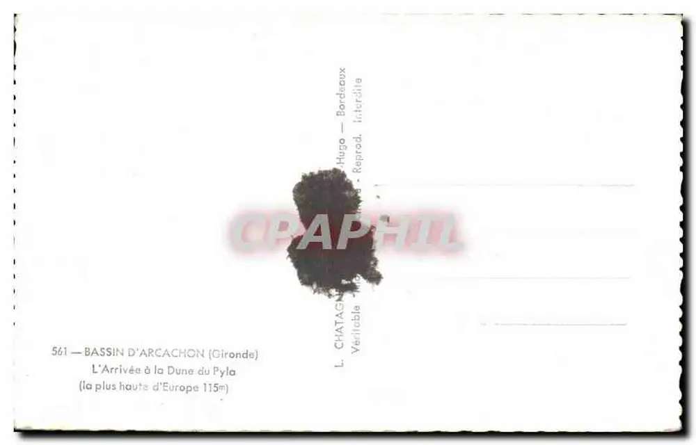 Arcachon — a duna do Pyla — L. CHATAGNE — n°561 - Verso