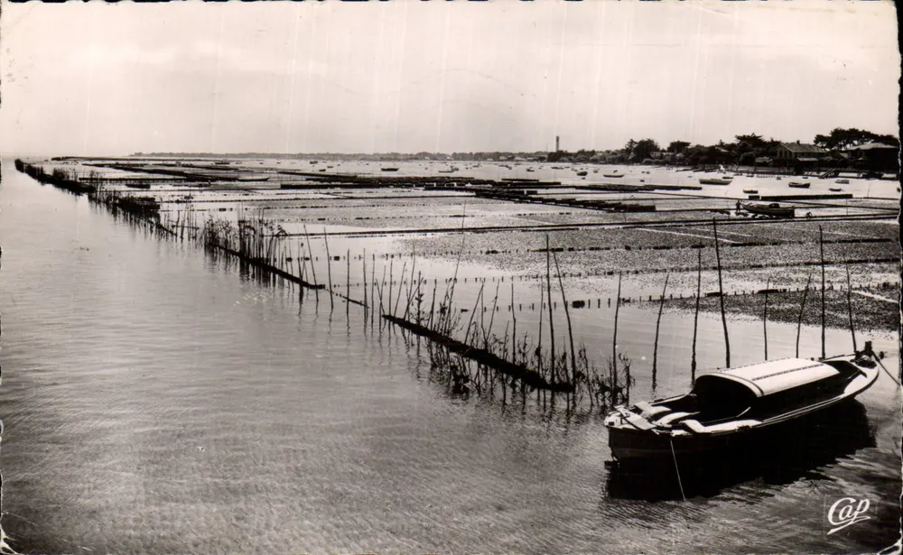 Bassin d'Arcachon - Cap Ferret — vista dos marais salants — editor Réel-Photo, n°125 - Frente