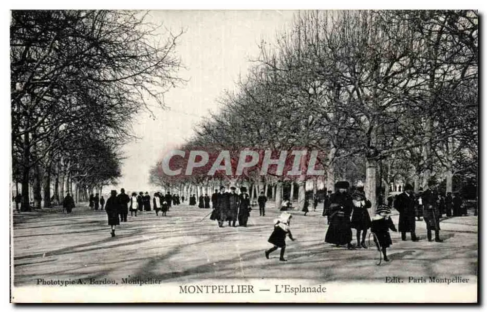 Montpellier — A Esplanada — Fototipia A. Bardou, Montpellier - Frente