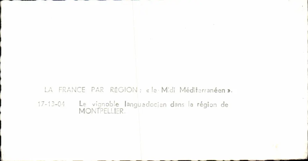 Languedoc-Weingut — Region Montpellier — Verlag APIE - Rückseite