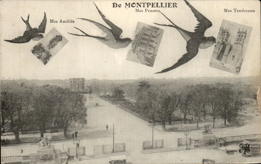 Montpellier — Vista do parque com monumento — editor não identificado, n° 560 - Frente