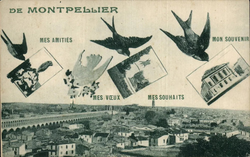 Montpellier — vista aérea com pássaros e mensagens — Fot. C. Diderot - Frente