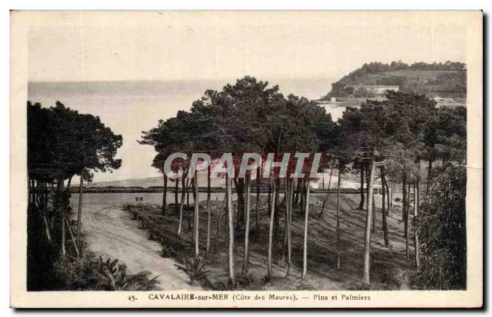 Cavalairé-sur-Mer (Côte des Maures) — Kiefern und Palmen — Ausgabe Bureau Cavalaire - Vorderseite