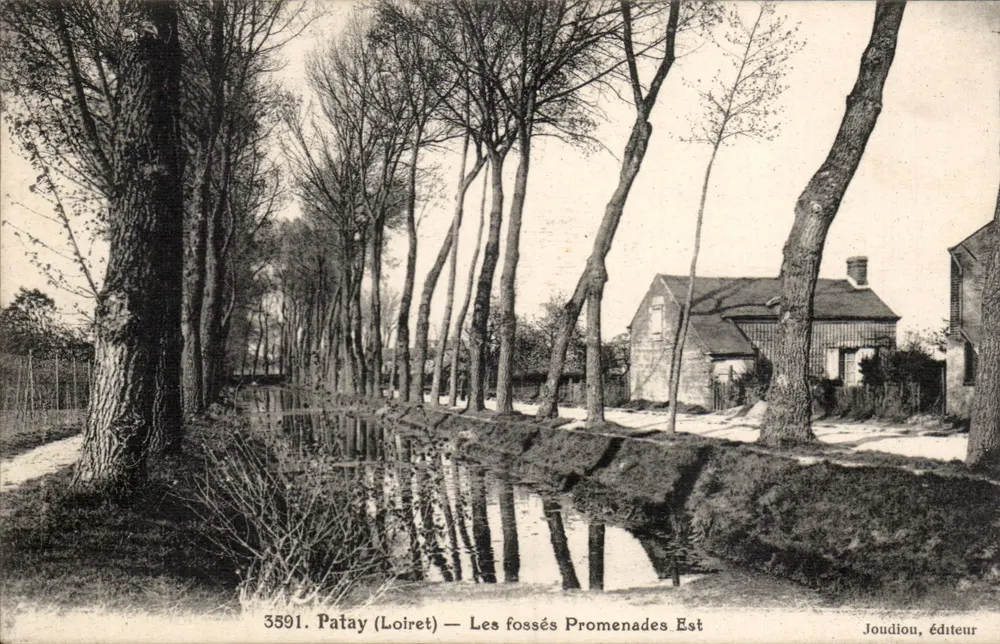 Patay (Loiret) — Ostpromenade Fossés — Joudion, Verlag - Vorderseite
