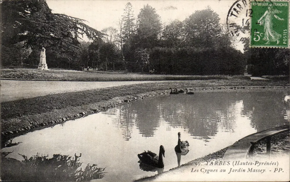 Schwanen im Massey-Garten — Tarbes (Hautes-Pyrénées) — PP. n°59 - Vorderseite