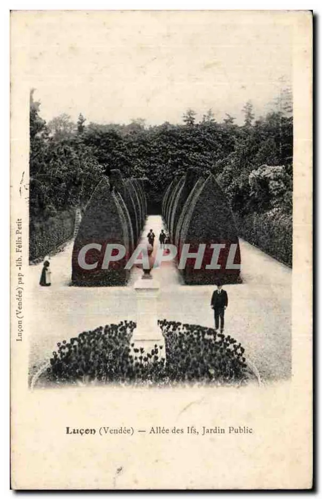 Luçon (Vendée) — Allée des Ifs, Jardin Public — Félix Petit, n° 418 - Recto