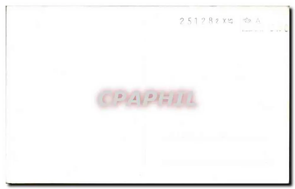 Copa de Vafio — Coleção micênica — n°12 - Verso