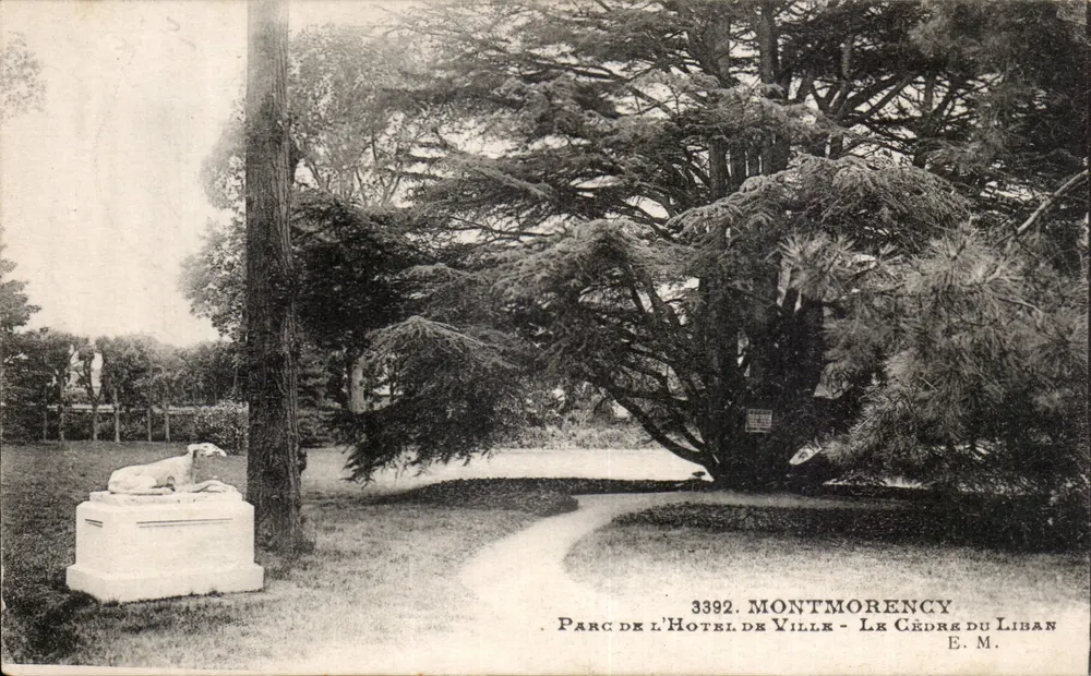 Montmorency — Park des Stadtverwaltung — Der Libanon-Zeder — E.M. n°3392 - Vorderseite