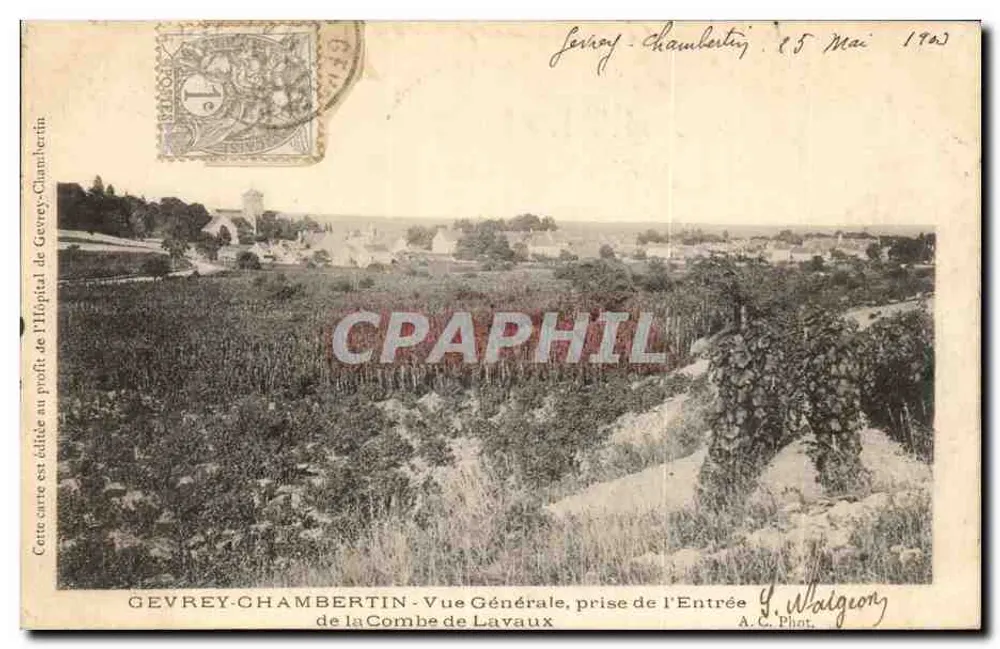 Gevrey-Chambertin — Allgemeiner Blick vom Eingang der Combe de Lavaux — A.C. Phot. - Vorderseite