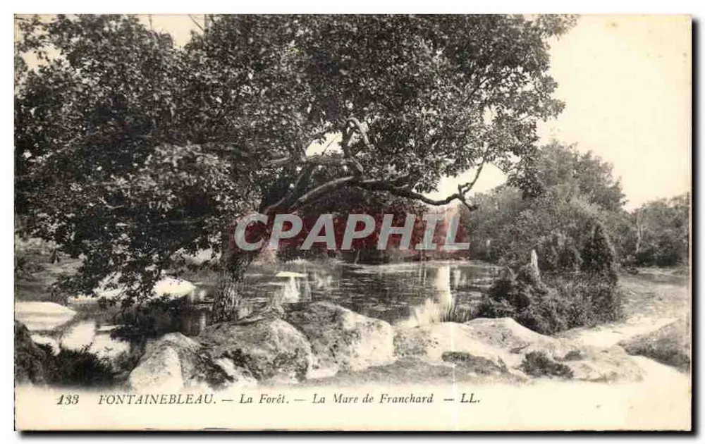 Fontainebleau — Die Forêt — La Mare de Franchard — LL. — n°133 - Vorderseite