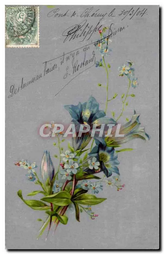 Arranjo de flores azuis e brancas — editor Imprime-Drukwerk, série não visível - Frente