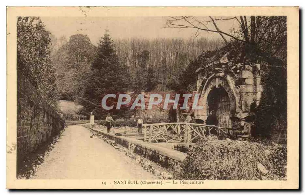Nanteuil (Charente) — A piscicultura — Edição Vignes, n°14 - Frente