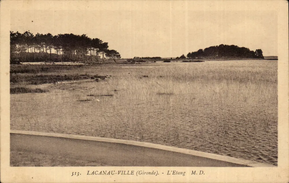 Lacanau-Ville (Gironde) — O Lago — M.D. n°513 - Frente