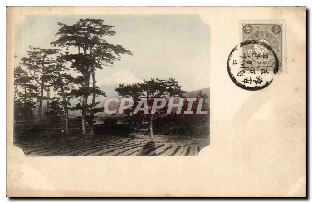 Paisagem de pinheiros e montanha no fundo — Japão — editor desconhecido, número de série não visível - Frente
