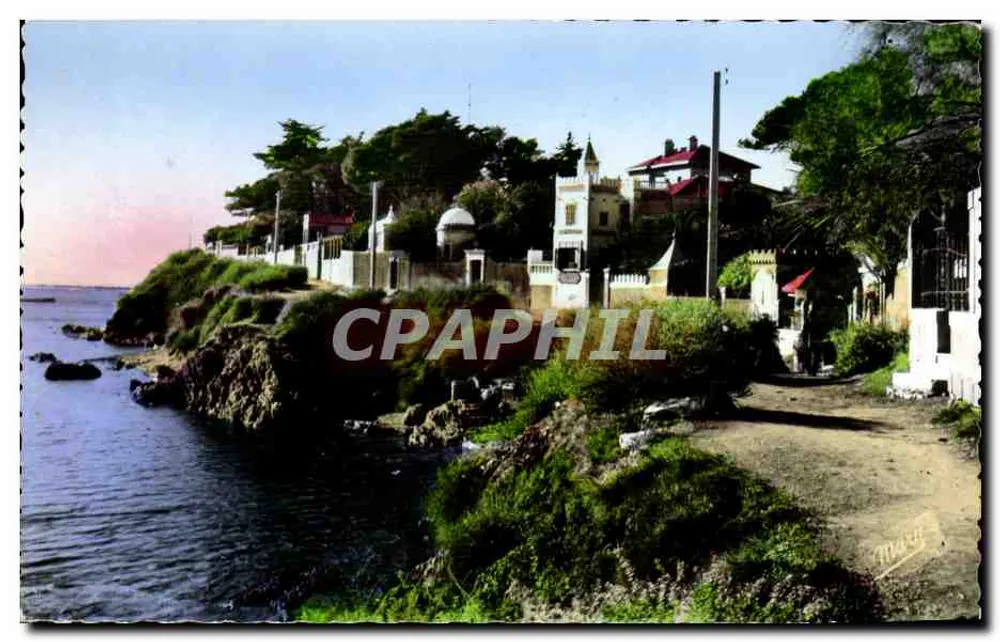 Vista de Toulon-Mourillon — Caminho da Mitre — Edições MARY — n°790 - Frente