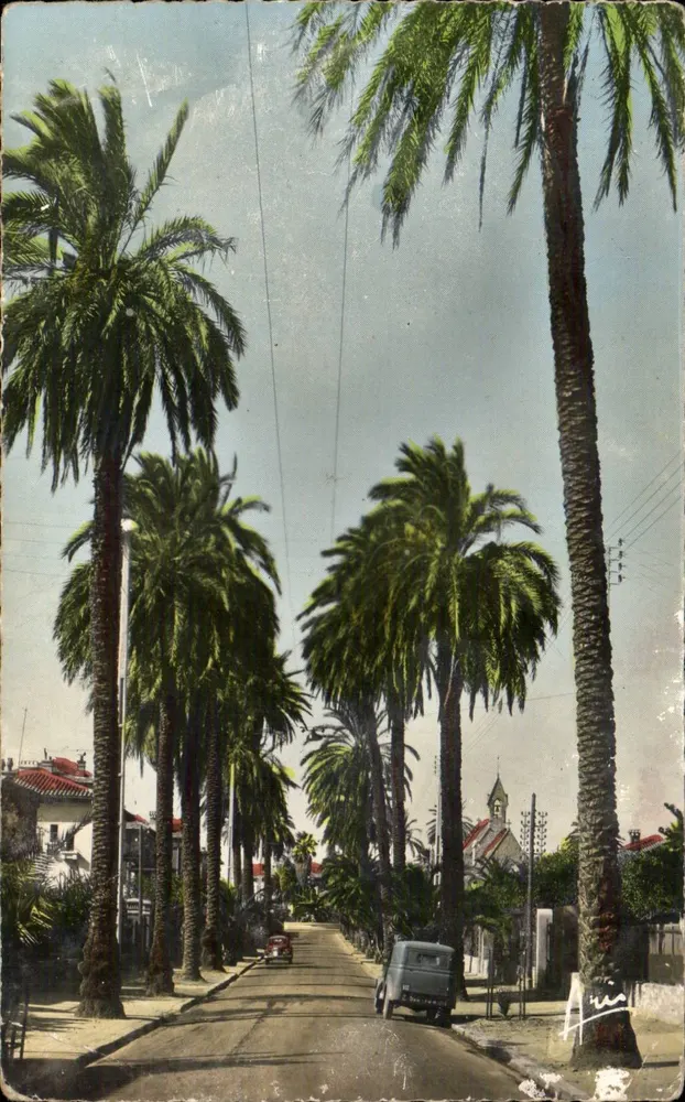Die Palmen — Avenue de Beauregard — Hyères, Côte d'Azur - Vorderseite