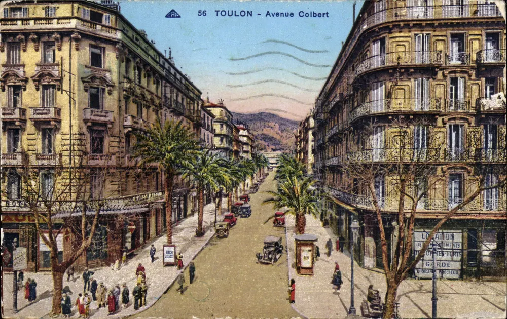 Toulon - Avenue Colbert — vue urbaine avec palmiers et bâtiments — éditeur A. P. (n° 56) - Frente