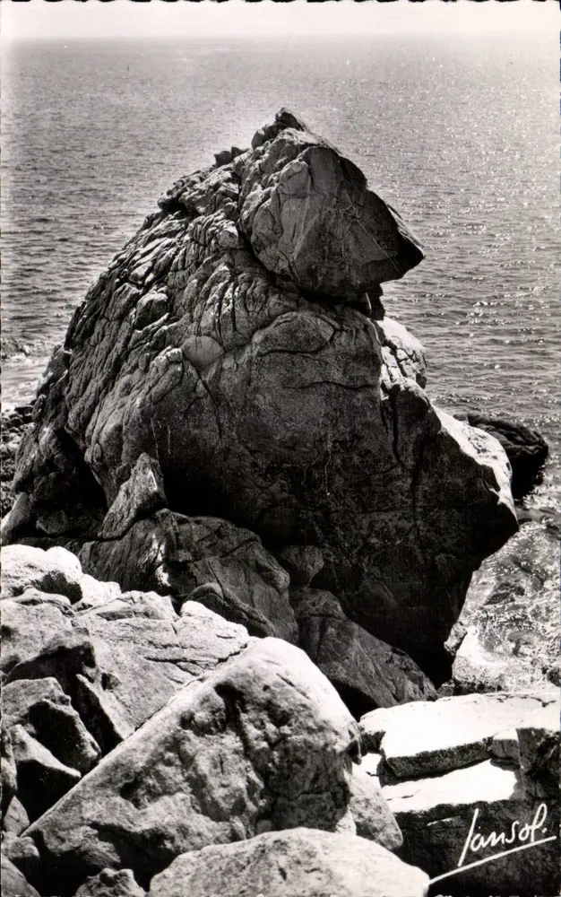Die Große Küste — Der Eisbär — Edition Photographiques Jansol - Vorderseite
