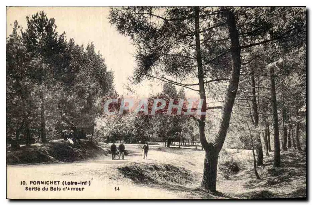 PORNICHET (Loire-Inf.) — Uitgang van het Bois d'Amour — F. Chapeau, uitgever Nantes, n°14 - Voorkant