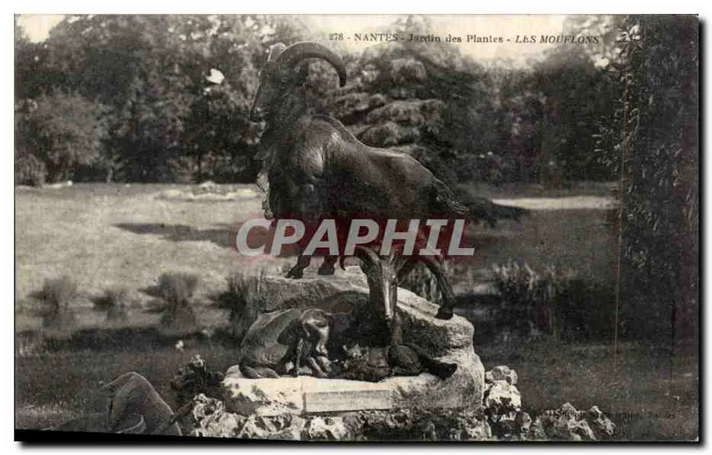 NANTES - Botanischer Garten - Die Schafe - Vorderseite