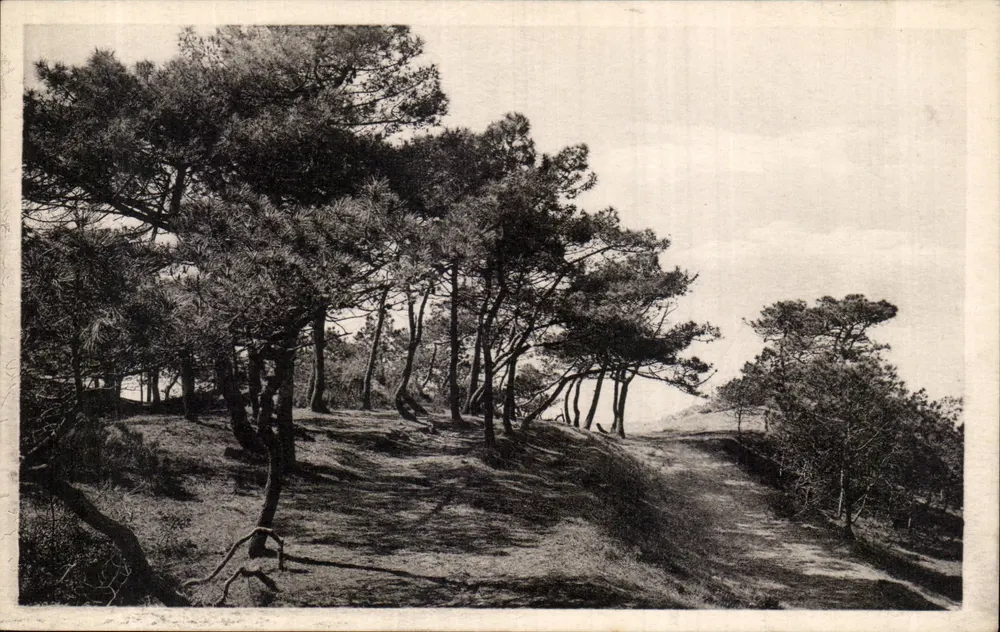 Die schönen Strände des Ozeans — Die Jadeküste — Si-Brévin-l'Océan (Loire-Inférieure) - Vorderseite